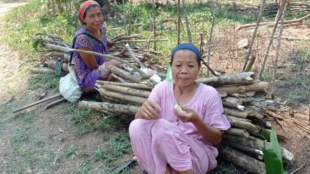 Masyarakat di pedalaman Lebak, Banten, tetap gunakan kayu bakar untuk memasak akibat kelangkaan dan harga elpiji melonjak, kendati pemerintah berupaya pendistribusian lebih tepat sasaran.