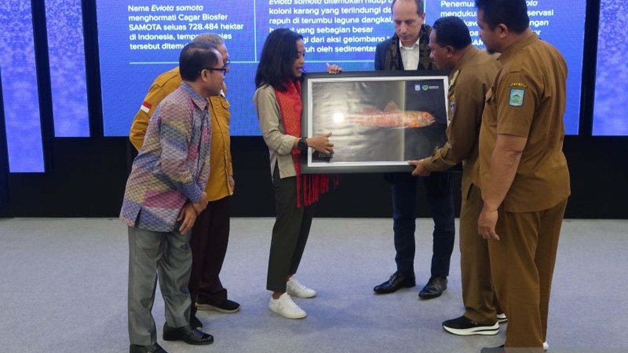 Ekspedisi Teluk Saleh menemukan spesies baru ikan gobi kerdil, *Eviota samota*, menambah kekayaan hayati Indonesia dan menyoroti keunikan, sekaligus kerentanan, ekosistem Teluk Saleh.