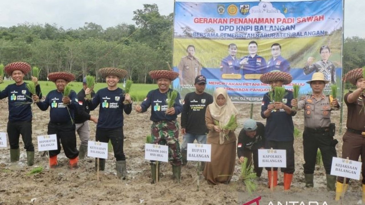 Pemkab Balangan bersama generasi milenial berkomitmen tingkatkan swasembada pangan lewat penanaman padi bersama di Desa Juai, Kalimantan Selatan, guna mendorong pertanian modern dan hasil panen optimal.
