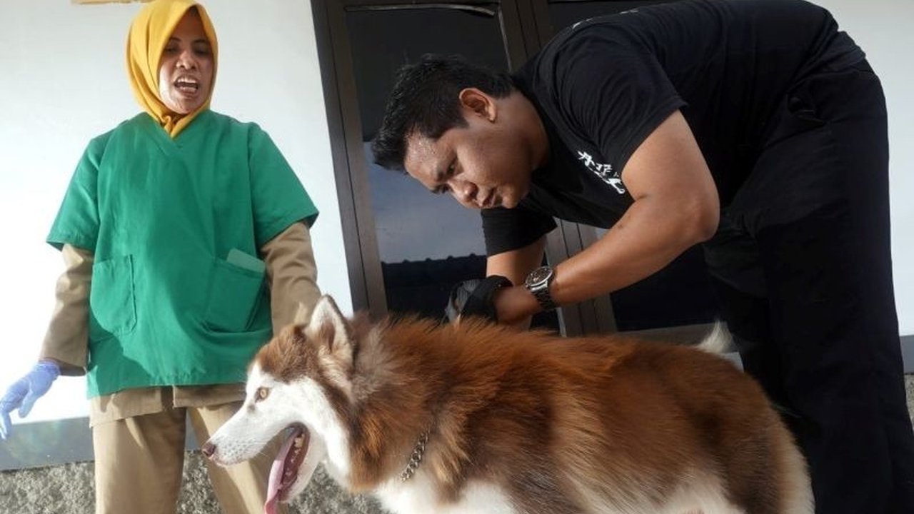 Layanan Kesehatan Hewan Peliharaan Gratis di Madiun