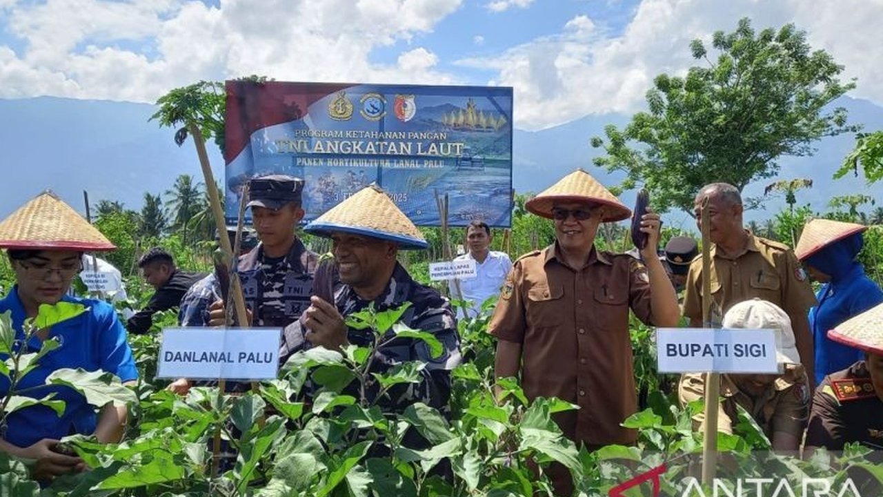 TNI AL Palu Dukung Ketahanan Pangan Petani Sigi Lewat Panen Terong