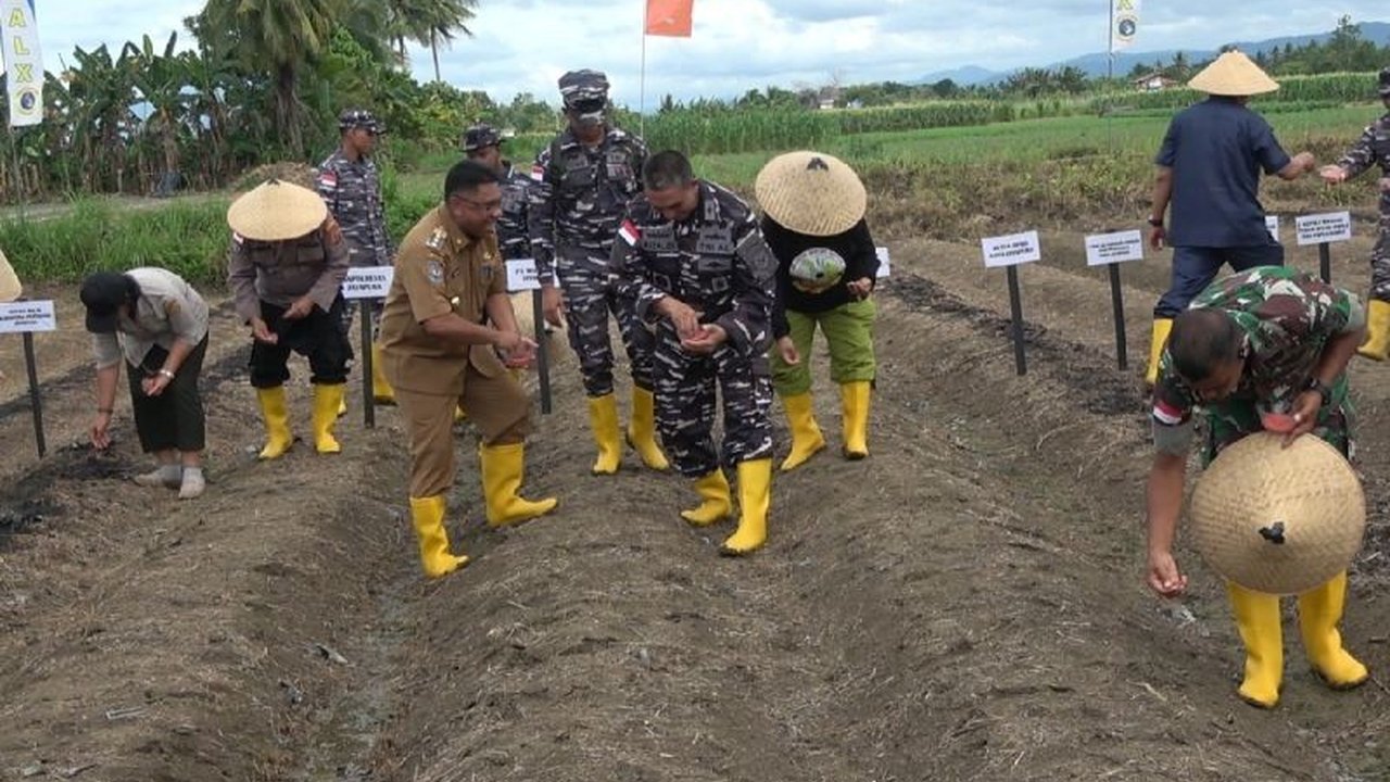 Pemkot Jayapura tekankan pentingnya kolaborasi Forkopimda untuk mencapai ketahanan pangan di Kota Jayapura, khususnya dengan memanfaatkan potensi pertanian di Distrik Muara Tami.