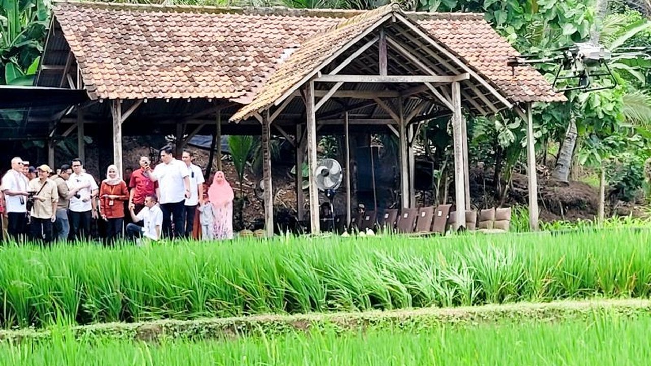 Menko Pangan Zulkifli Hasan meminta Kabupaten Banyuwangi untuk berbagi program pertanian milenialnya,  'Jagoan Tani', kepada daerah lain guna mendorong regenerasi petani dan memajukan sektor pertanian.