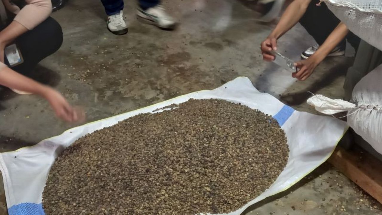 Ekspor nonmigas Lampung mencapai US$569,76 juta pada Desember 2024, naik 14,99% dari bulan sebelumnya dan didominasi oleh lemak/minyak nabati serta kopi, dengan AS sebagai pasar utama.