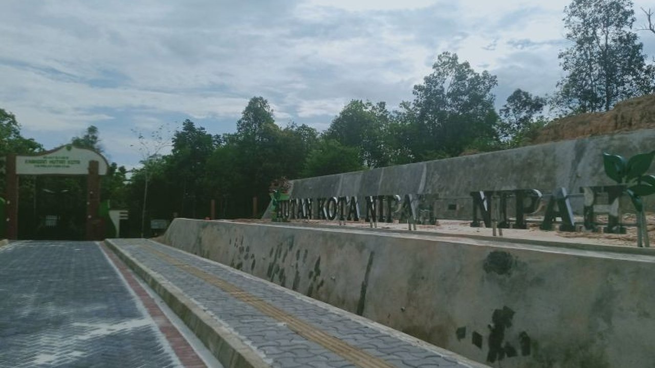 Pemerintah Kabupaten Penajam Paser Utara, Kalimantan Timur, mengembangkan hutan kota Nipah-Nipah sebagai destinasi ekowisata dan pusat edukasi lingkungan, memanfaatkan keunikan flora dan fauna serta tumbuhan obat herbal.