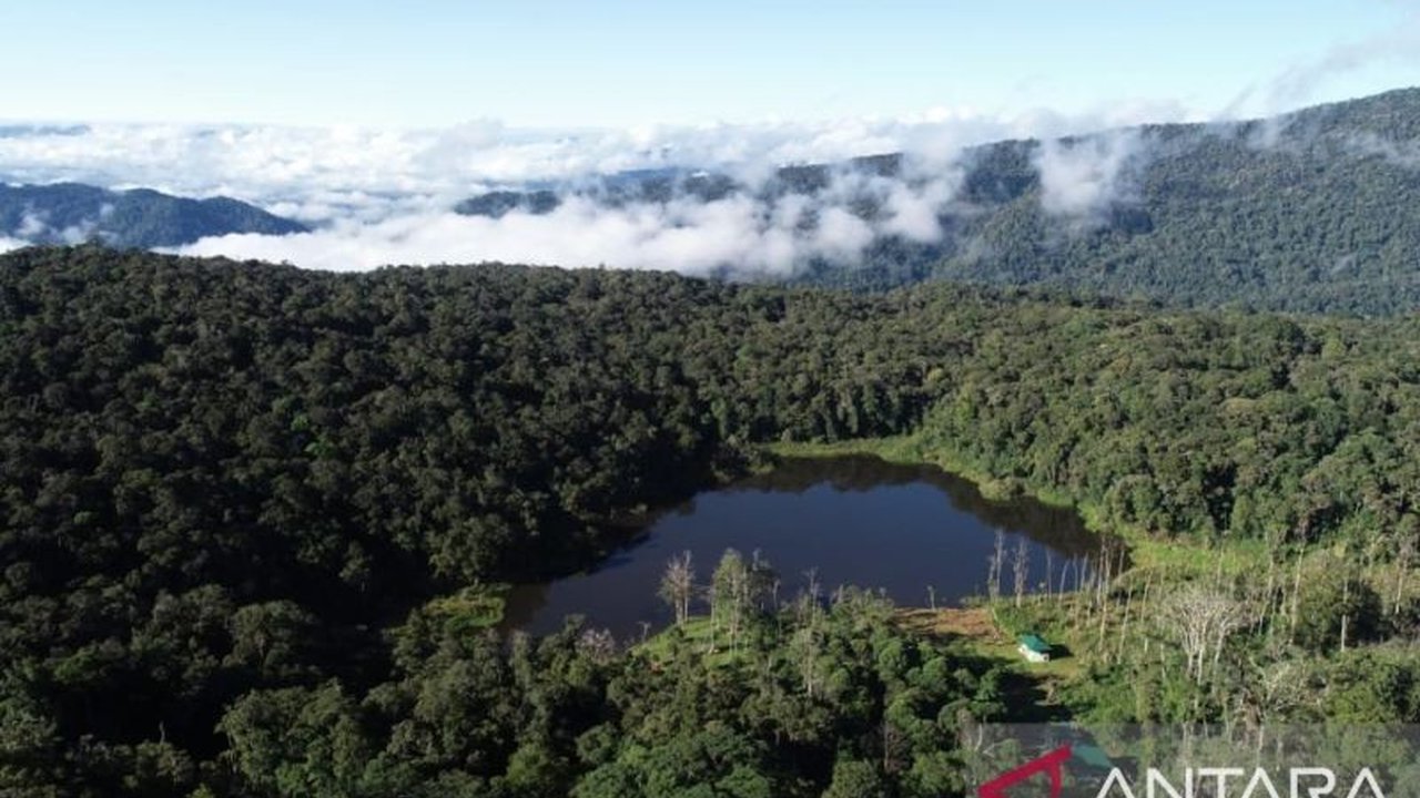 Balai Besar Taman Nasional Lore Lindu (BTNLL) memberlakukan PNBP untuk kegiatan dokumentasi visual foto dan video di kawasannya, guna mendukung konservasi dan edukasi lingkungan.