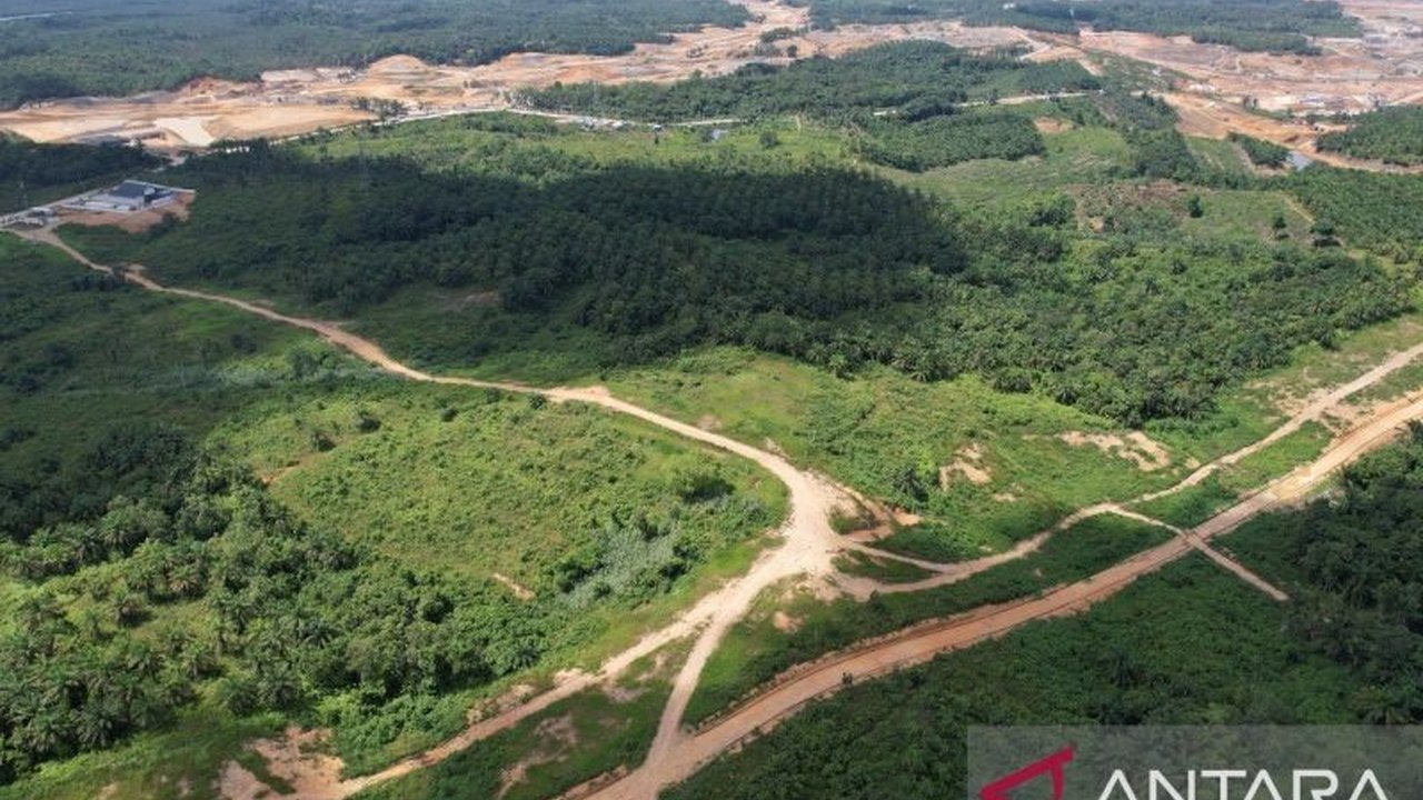 Badan Bank Tanah telah menyiapkan 400 hektar lahan di Penajam Paser Utara, Kalimantan Timur, untuk program reforma agraria, khususnya bagi warga terdampak pembangunan IKN,  menindaklanjuti mandat pemerintah dan aspirasi masyarakat.