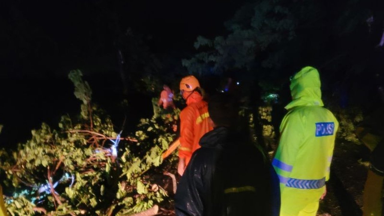 Hujan deras dan angin kencang di Situbondo, Jawa Timur menyebabkan pohon tumbang di jalur pantura, mengakibatkan kemacetan total pada Selasa malam, 04 Februari 2024.