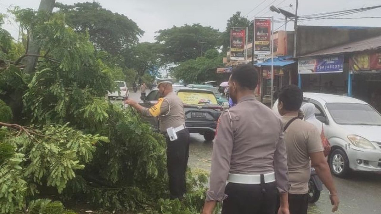 BPBD Kabupaten Jayapura mengimbau masyarakat untuk waspada terhadap cuaca ekstrem, terutama curah hujan tinggi dan angin kencang yang berpotensi menyebabkan pohon tumbang dan dampak lainnya, serta selalu mengikuti informasi BMKG.
