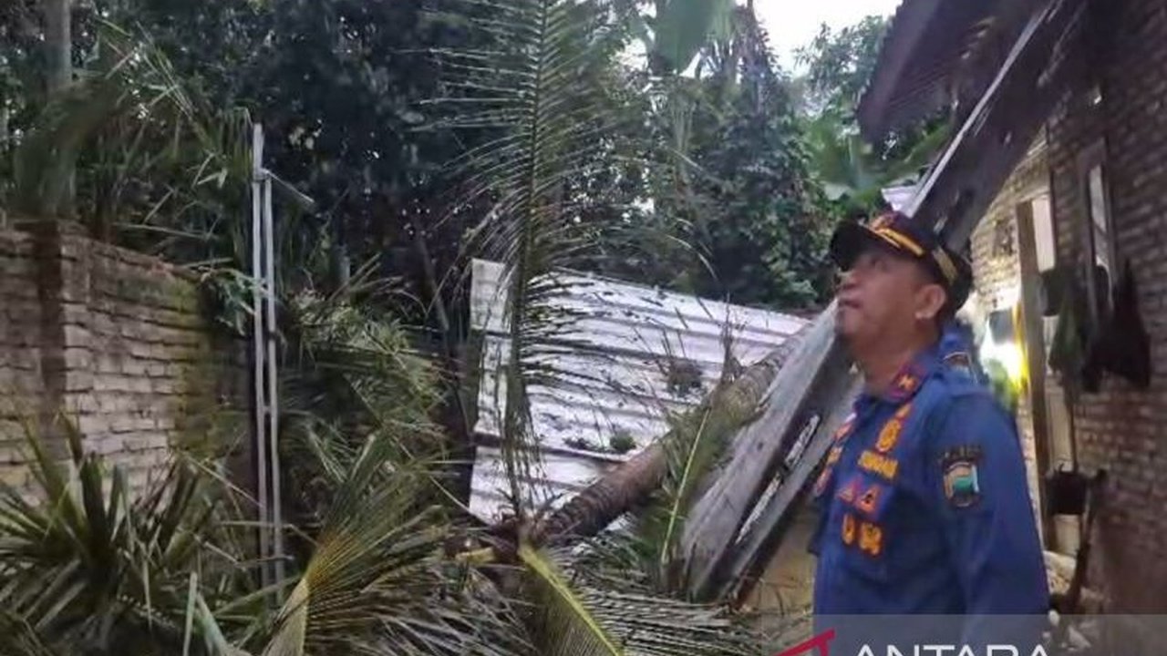 Pohon Tumbang Timpa Rumah di Kalianda, Lampung Selatan: Tak Ada Korban Jiwa