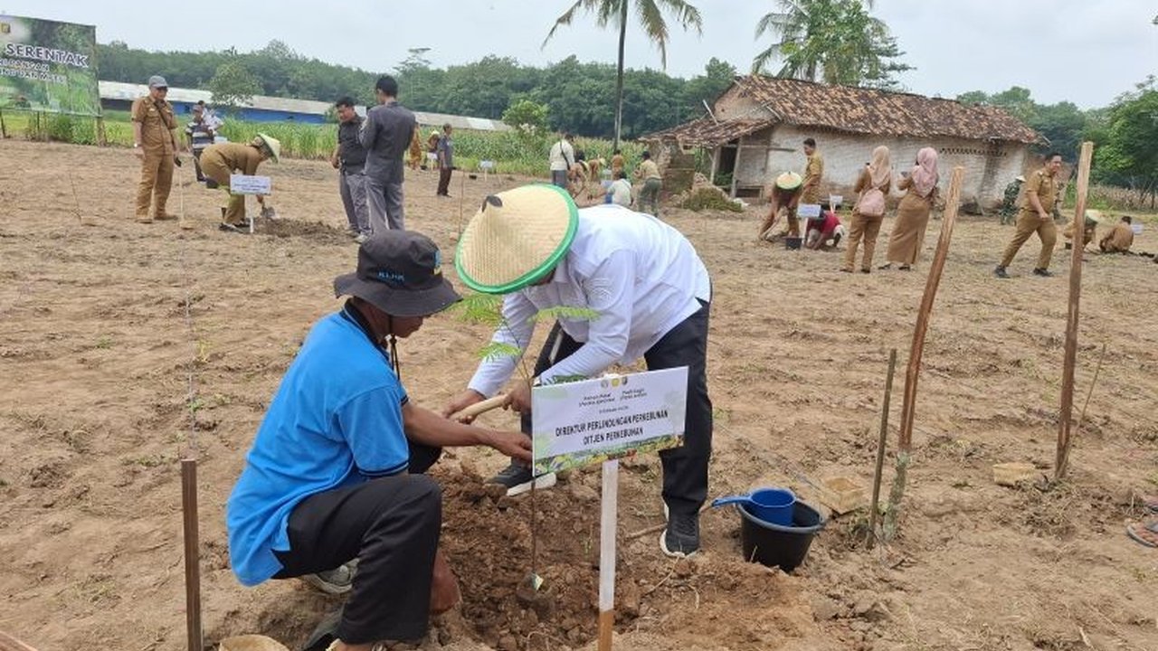 Kementerian Pertanian menargetkan penanaman padi lahan kering di Lampung seluas 12.141 hektare untuk mendukung swasembada pangan nasional, dengan kerjasama lintas kementerian dan dukungan dari masyarakat.