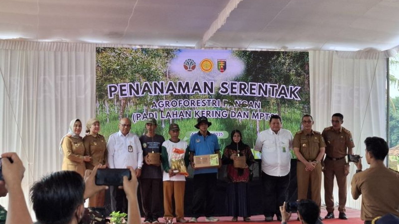 Kementerian Pertanian (Kementan) memberikan bantuan benih padi 40 kg/ha kepada petani di kawasan hutan Lampung untuk meningkatkan produktivitas lahan dan mendukung swasembada pangan nasional.