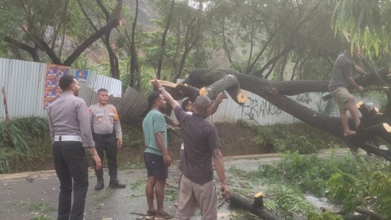 Polres Jayapura Bantu Bersihkan Pohon Tumbang di Sentani