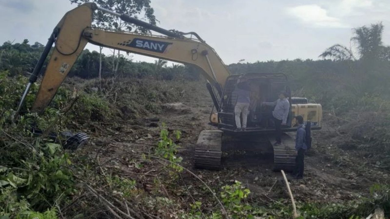 Pengamat hukum meminta pemerintah Mukomuko bertindak tegas terhadap perambahan hutan ilegal yang telah merusak 80% kawasan hutan produksi dan merugikan negara secara multidimensi.