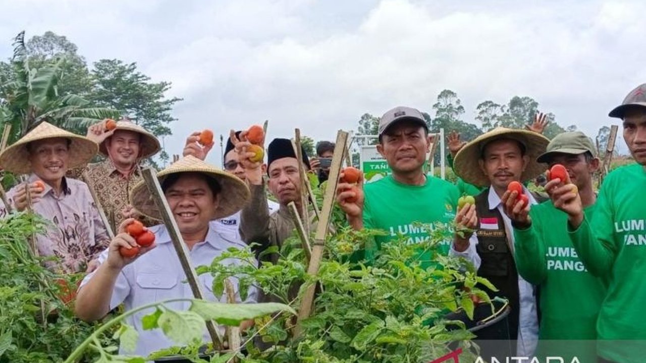 Badan Amil Zakat Nasional (Baznas) mendorong kemandirian ekonomi di Garut melalui Kelompok Tani Itikurih yang sukses panen raya tomat dan telah menginspirasi petani lain untuk bergabung.