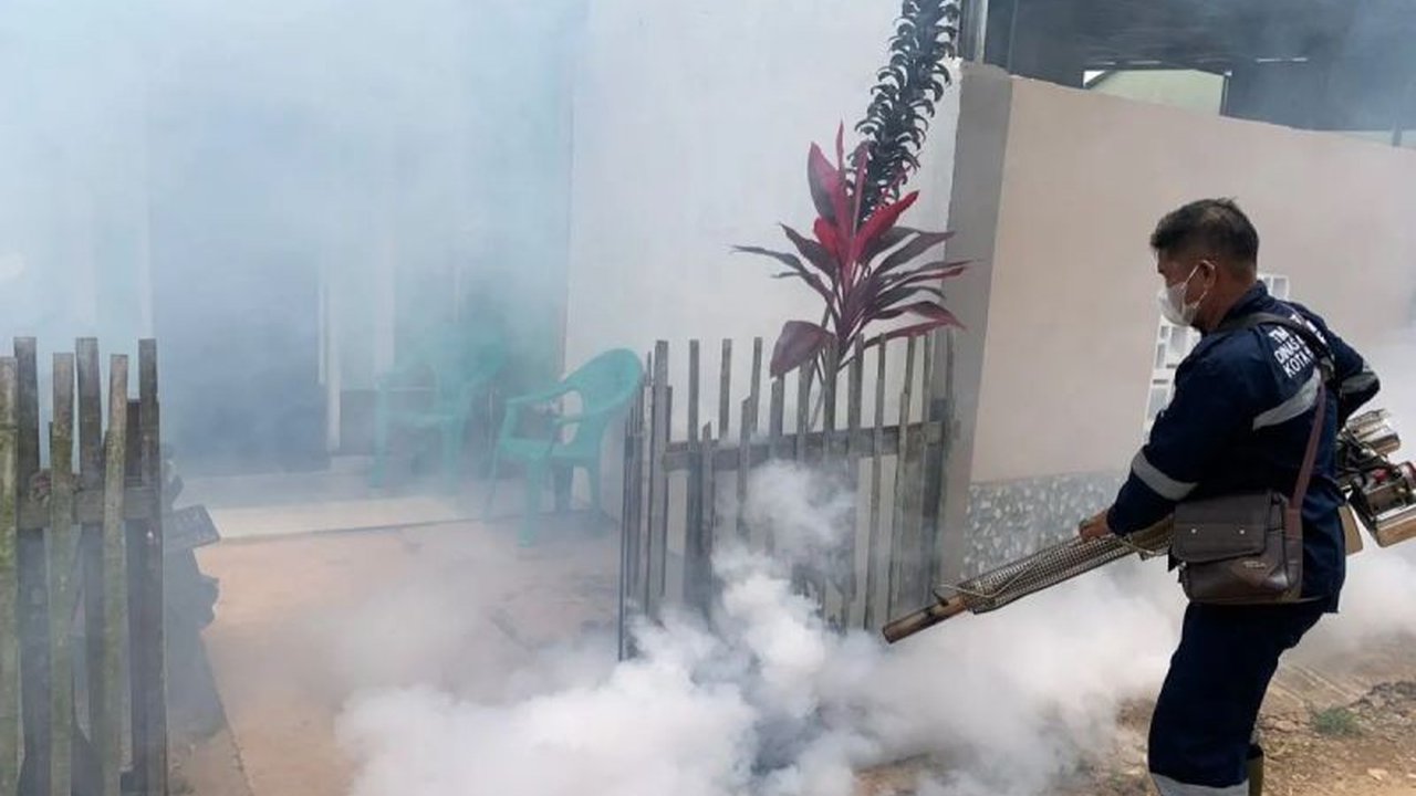 Dinas Kesehatan Sumsel melaporkan 6.263 kasus DBD di Sumsel sepanjang 2024, dengan Palembang mencatatkan angka tertinggi dan 37 kematian, serta berbagai upaya pencegahan telah dilakukan.