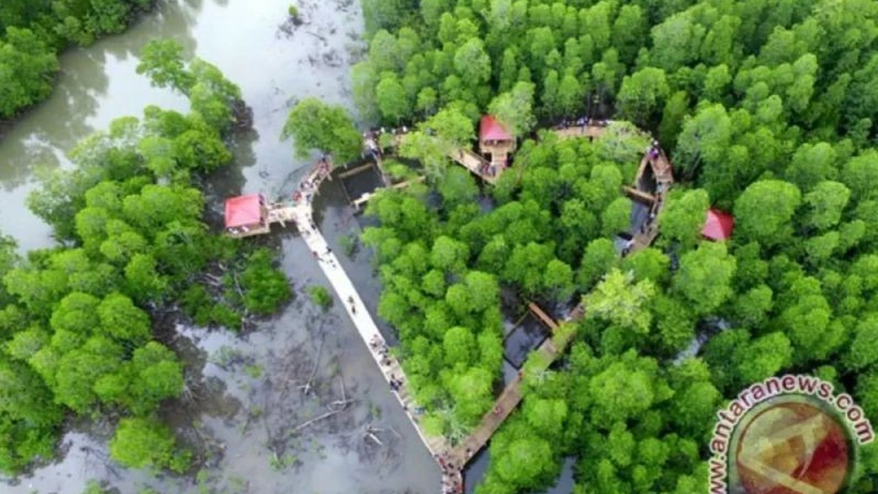 Penelitian gabungan menemukan bahwa pelestarian dan restorasi ekosistem gambut dan mangrove di Asia Tenggara berpotensi mengurangi emisi gas rumah kaca hingga 770 megaton CO2e per tahun.