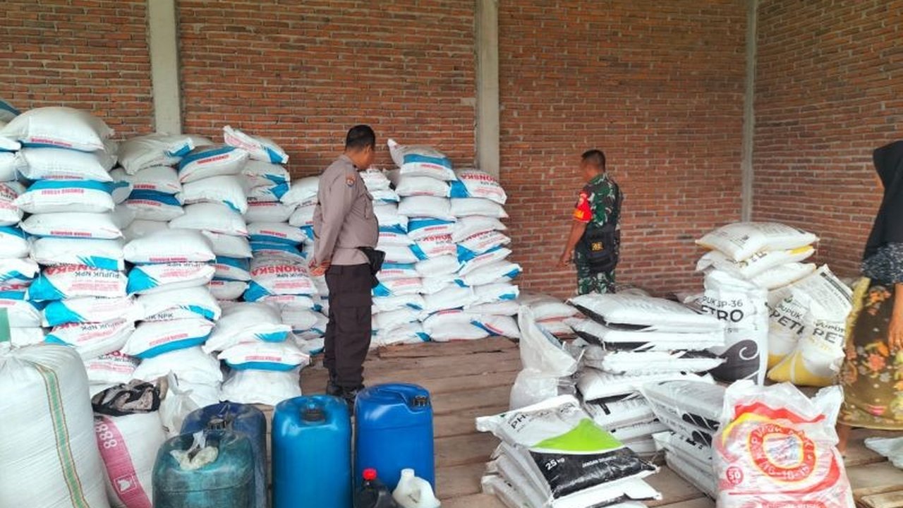 Kepolisian Resor Lombok Tengah, NTB, gencar mengawasi pendistribusian pupuk bersubsidi untuk mencegah penyelewengan dan memastikan ketersediaan pupuk bagi petani guna mendukung swasembada pangan.