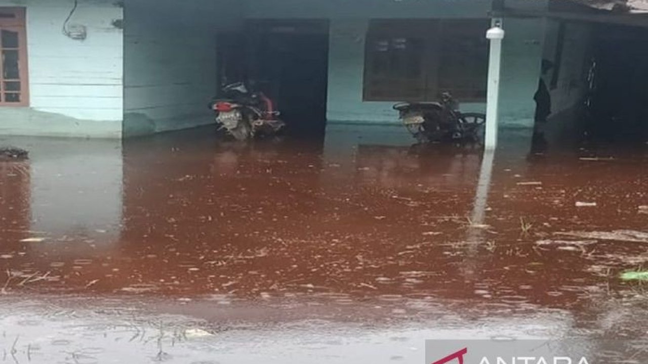 PT WKS Bantu Korban Banjir Jambi dengan Alat Berat