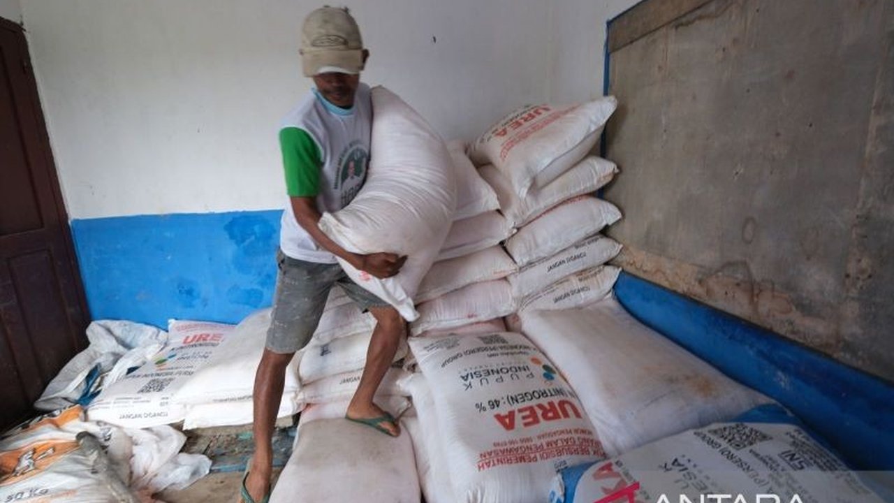 Pemerintah Sulawesi Tenggara menyiapkan 38.129 ton pupuk subsidi pada 2025 untuk mendukung swasembada pangan nasional, dengan alokasi terbesar di Konawe, Konsel, dan Kolaka Timur.