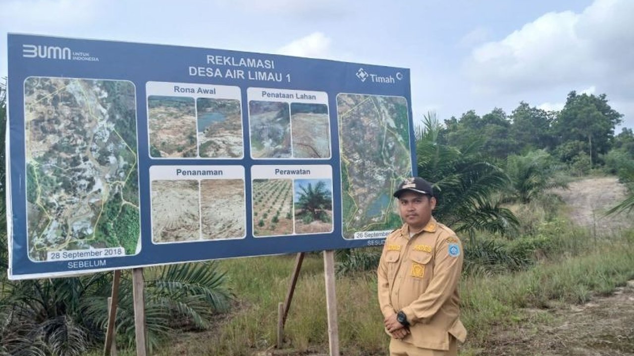 PT Timah dan Desa Air Limau, Bangka Barat, berkolaborasi mengubah lahan bekas tambang seluas 7,04 hektare menjadi perkebunan sawit produktif, mendorong kemandirian ekonomi desa.