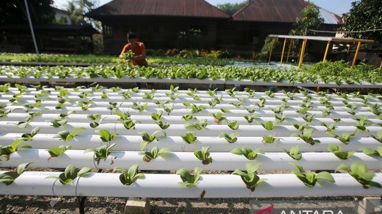 Himpunan Kerukunan Tani Indonesia (HKTI) Aceh akan berpartisipasi aktif dalam program Makan Bergizi Gratis (MBG) dengan menyediakan bahan baku pertanian berkualitas, demi mendukung generasi cerdas Indonesia.