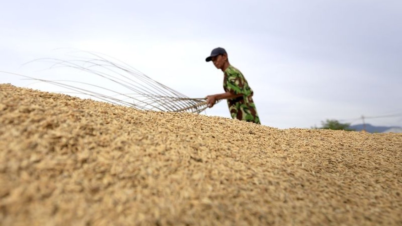 Pertumbuhan ekonomi Gorontalo pada 2024 mencapai 4,13 persen, lebih rendah dari tahun sebelumnya, dengan sektor pertanian sebagai penyumbang terbesar dan pertumbuhan tertinggi di sektor perdagangan serta konstruksi.