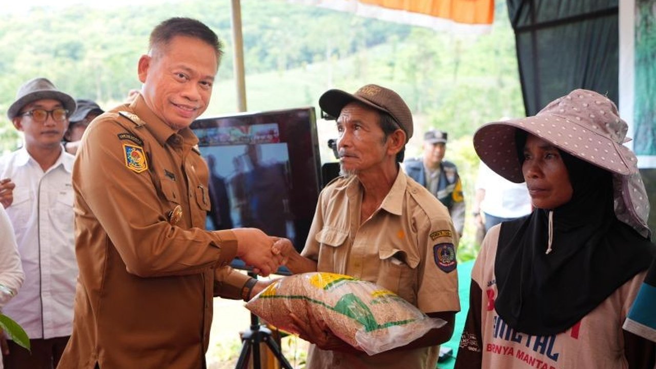 Pemerintah Sulawesi Selatan menyiapkan 1.600 hektare lahan untuk penanaman padi gogo guna mendukung swasembada beras nasional dan mengurangi impor.