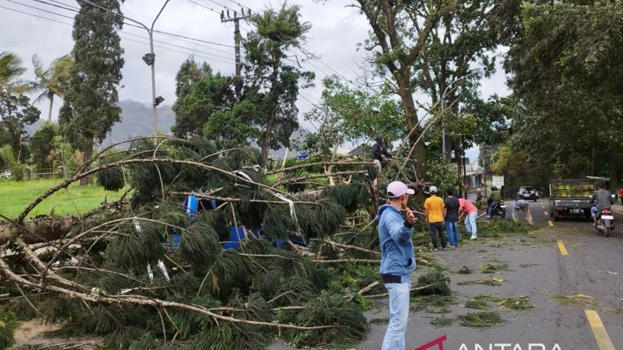 Jalur utama Cianjur-Puncak yang sempat terputus akibat pohon tumbang di dua titik di Jalan Raya Cugenang kini sudah kembali normal setelah petugas gabungan BPBD dan Satlantas Polres Cianjur melakukan penanganan cepat.