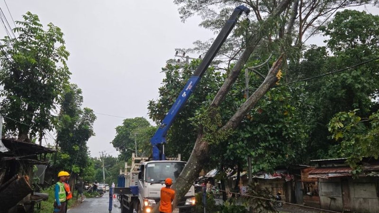 Hujan deras disertai angin kencang menyebabkan 39 titik pohon tumbang di 11 kecamatan Bandarlampung pada Selasa (4/2), mengakibatkan kerusakan rumah dan usaha warga, namun tidak ada korban jiwa.