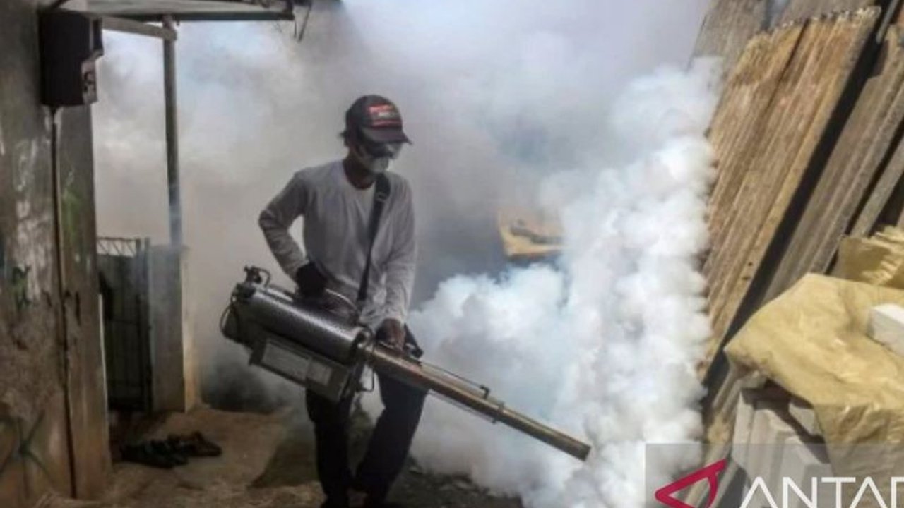 Dinas Kesehatan Purwakarta mengingatkan masyarakat untuk waspada terhadap penyakit Demam Berdarah Dengue (DBD) setelah terjadi peningkatan kasus signifikan di awal tahun 2025, dengan imbauan menjaga kebersihan lingkungan.