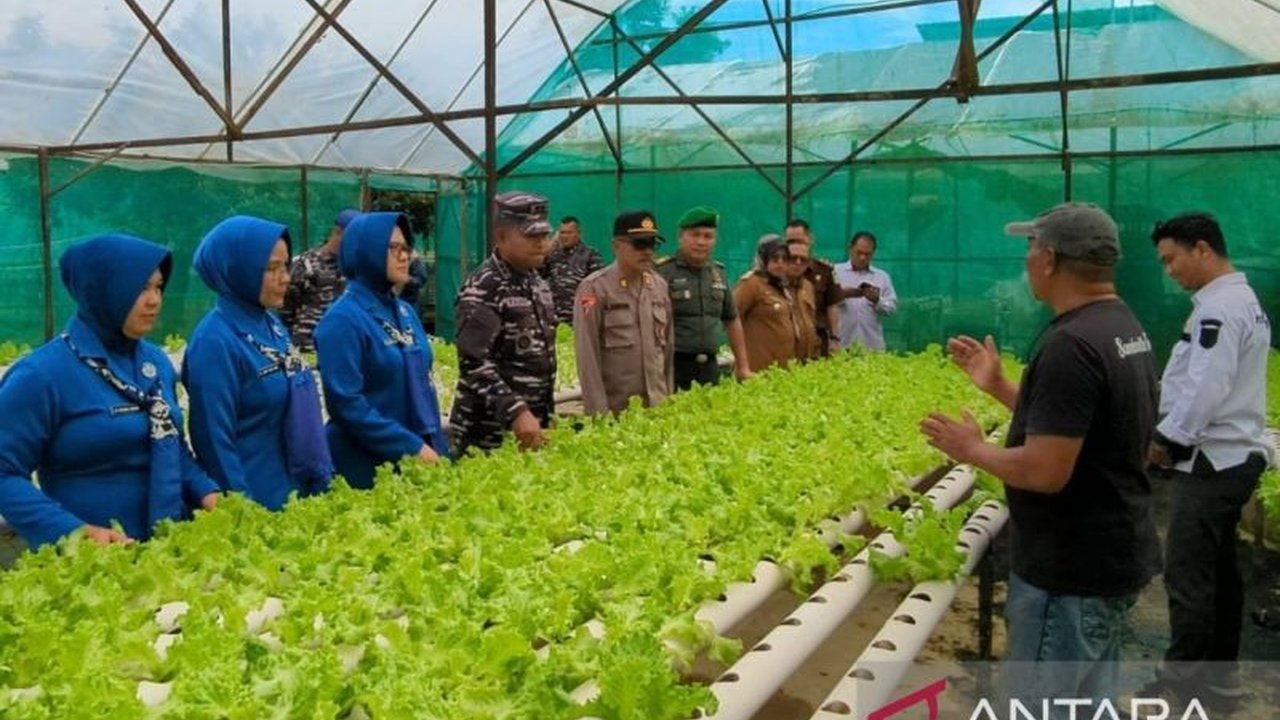 TNI AL Lanal Sangatta bina Kelompok Tani Samborita Farm di Kutai Timur, Kaltim, untuk meningkatkan ketahanan pangan nasional lewat pertanian hortikultura dan perikanan, serta edukasi ketahanan pangan.
