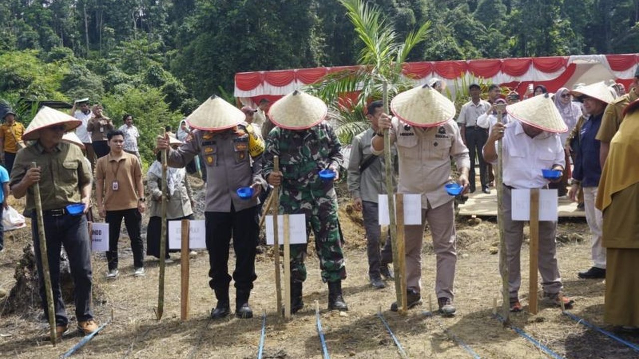 Pemerintah Kabupaten Pasaman Barat memastikan ketersediaan bahan pangan pokok aman hingga Ramadhan, bahkan melebihi kebutuhan bulanan, berkat produksi lokal dan pasokan dari luar daerah.