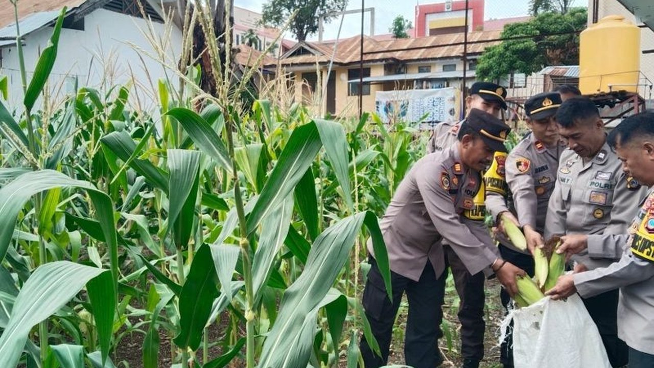 Wakapolres Donggala mengajak masyarakat dan personel kepolisian untuk memanfaatkan lahan kosong guna mendukung program ketahanan pangan, dimulai dari menanam jagung dan terong di lahan dinas.
