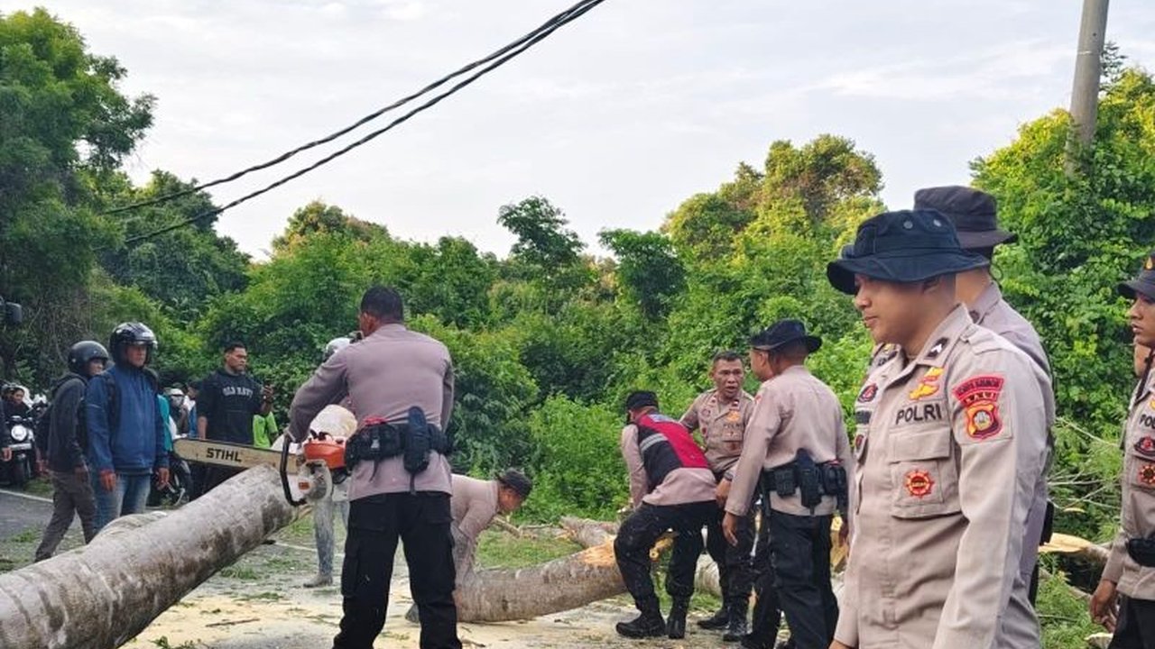 Pelajar SMA di Jembrana Meninggal Tertimpa Pohon Tumbang