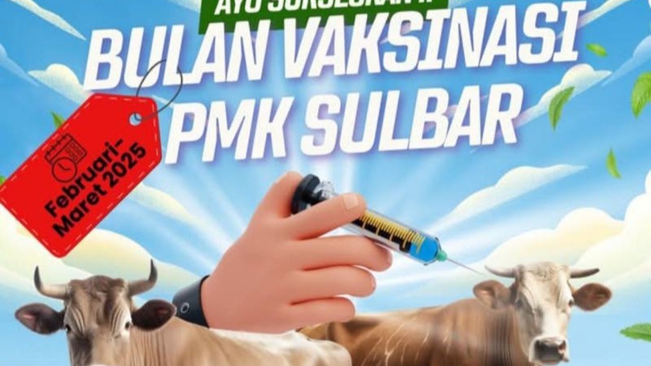 Dinas Tanaman Pangan Holtikultura dan Peternakan (DTPHP) Sulbar telah memvaksinasi 9.000 ternak di enam kabupaten untuk mencegah penyebaran Penyakit Mulut dan Kuku (PMK) dan mendukung swasembada daging nasional.
