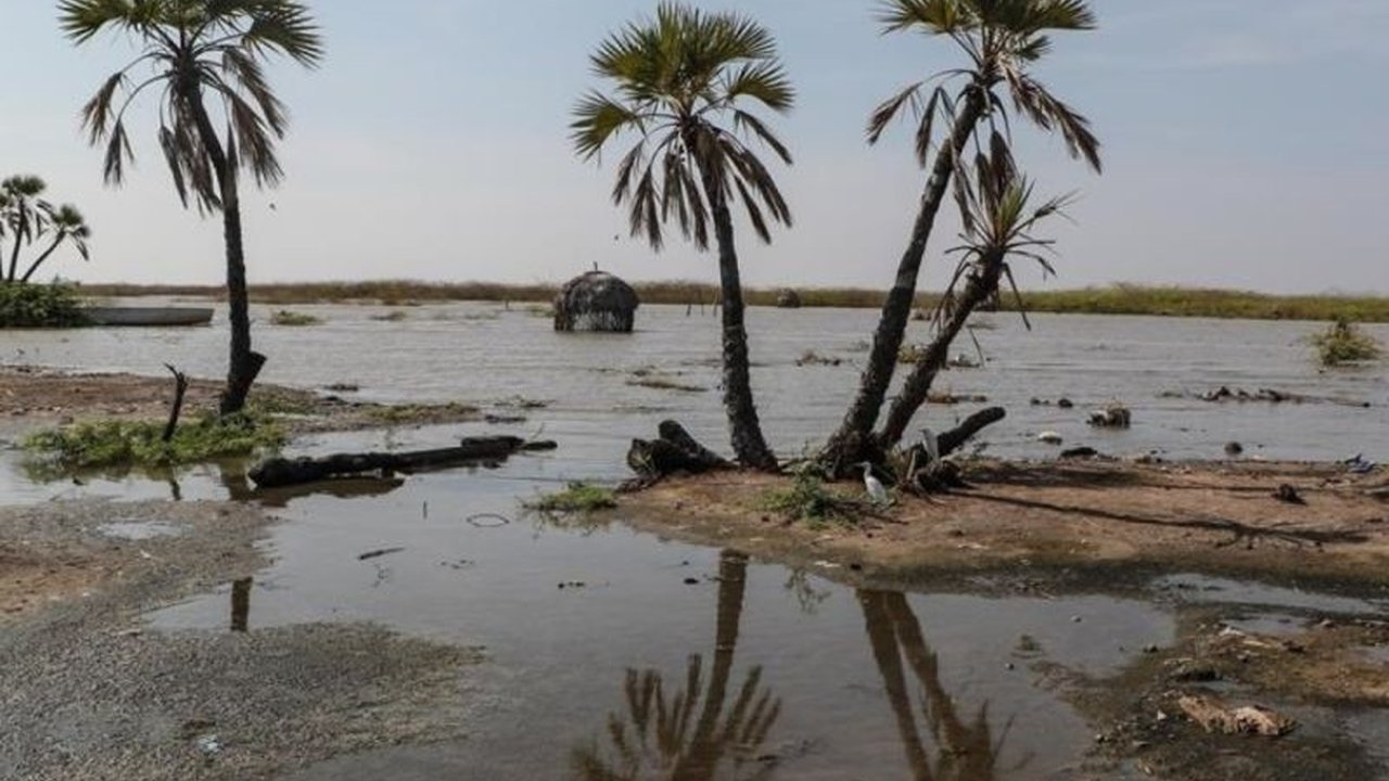 Bank Dunia memperingatkan akan banyak kematian akibat krisis iklim jika negara-negara kaya tak segera memenuhi komitmen pendanaan iklim yang telah disepakati,  mengingat bencana iklim semakin sering dan dahsyat terjadi.
