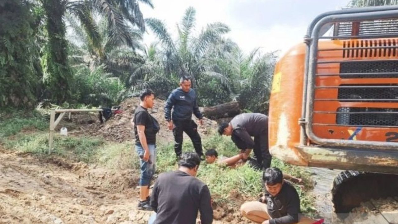 Satuan Reserse Kriminal Polres Inhu mengamankan MT (51) yang terbukti melakukan perambahan hutan di Taman Nasional Bukit Tiga Puluh (TNBT) untuk perkebunan sawit ilegal dengan menggunakan alat berat.