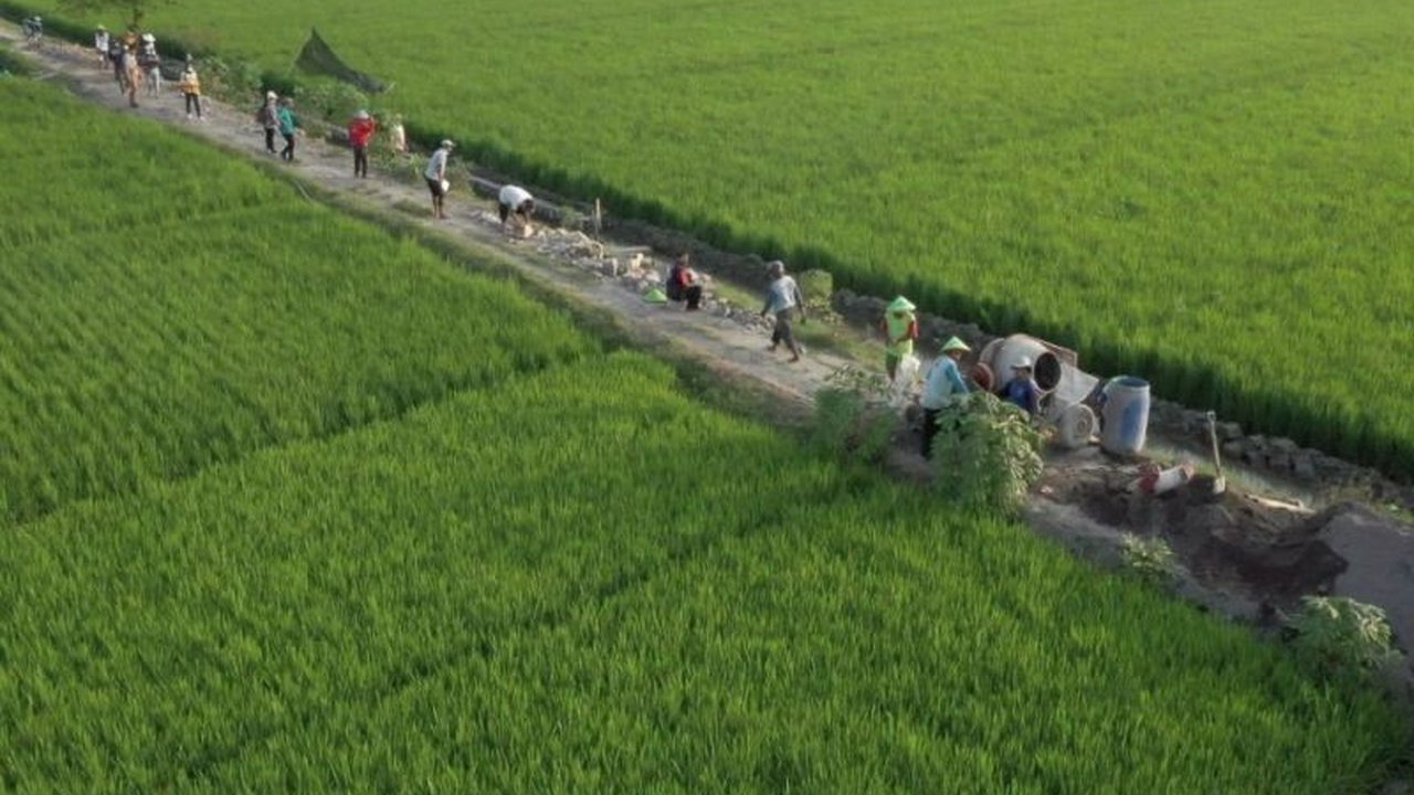 Di tengah gelombang PHK yang melanda, pemerintah Indonesia berupaya menjaga pertumbuhan ekonomi dengan strategi diversifikasi, perlindungan sosial, dan pembangunan infrastruktur, sembari membangun optimisme publik.