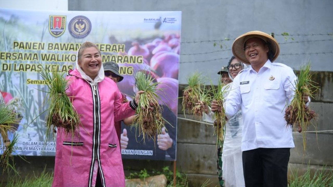 Wali Kota Semarang, Hevearita Gunaryanti Rahayu, memanen bawang merah dan sayuran bersama warga binaan LP Kedungpane, Semarang, Kamis (2/6), sebagai bagian dari program pemberdayaan dan ketahanan pangan.