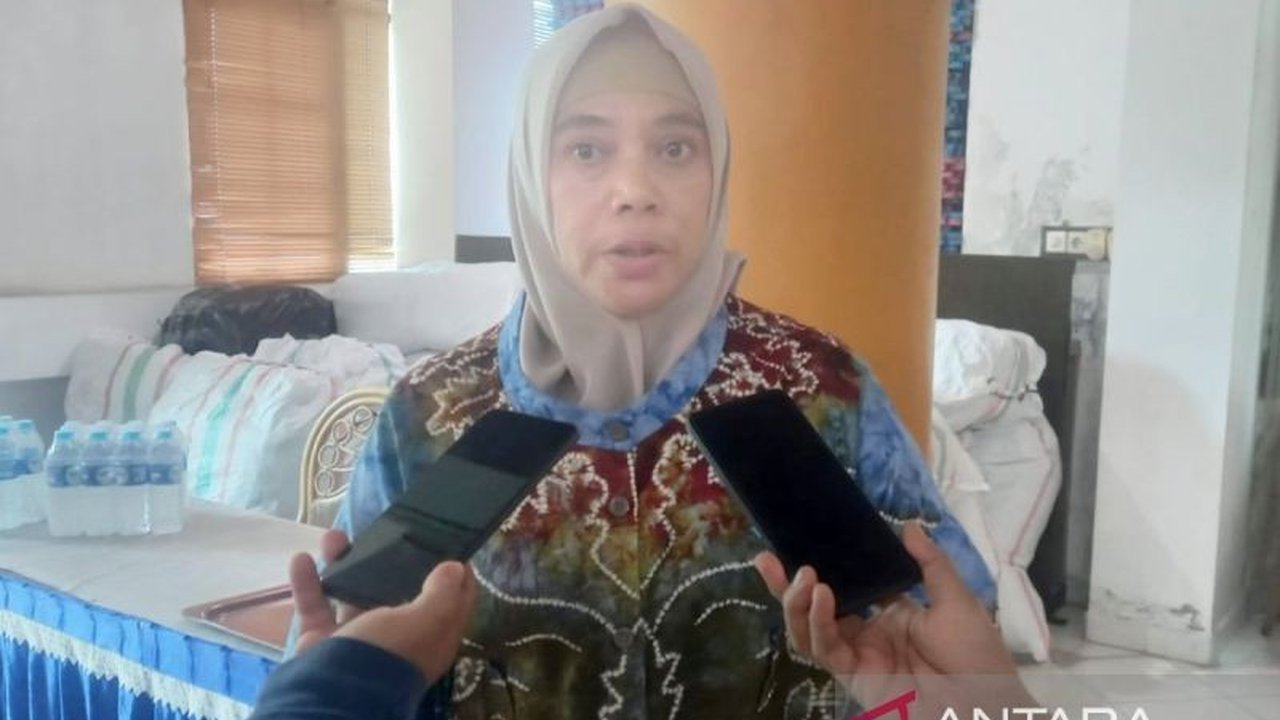 Pemerintah Provinsi Kalimantan Selatan menggelar bazar UMKM di acara puncak Hari Pers Nasional 2025 di Banjarbaru, menampilkan produk-produk lokal Kalsel dan dihadiri Presiden Prabowo Subianto, sebagai upaya promosi ekonomi kreatif daerah.