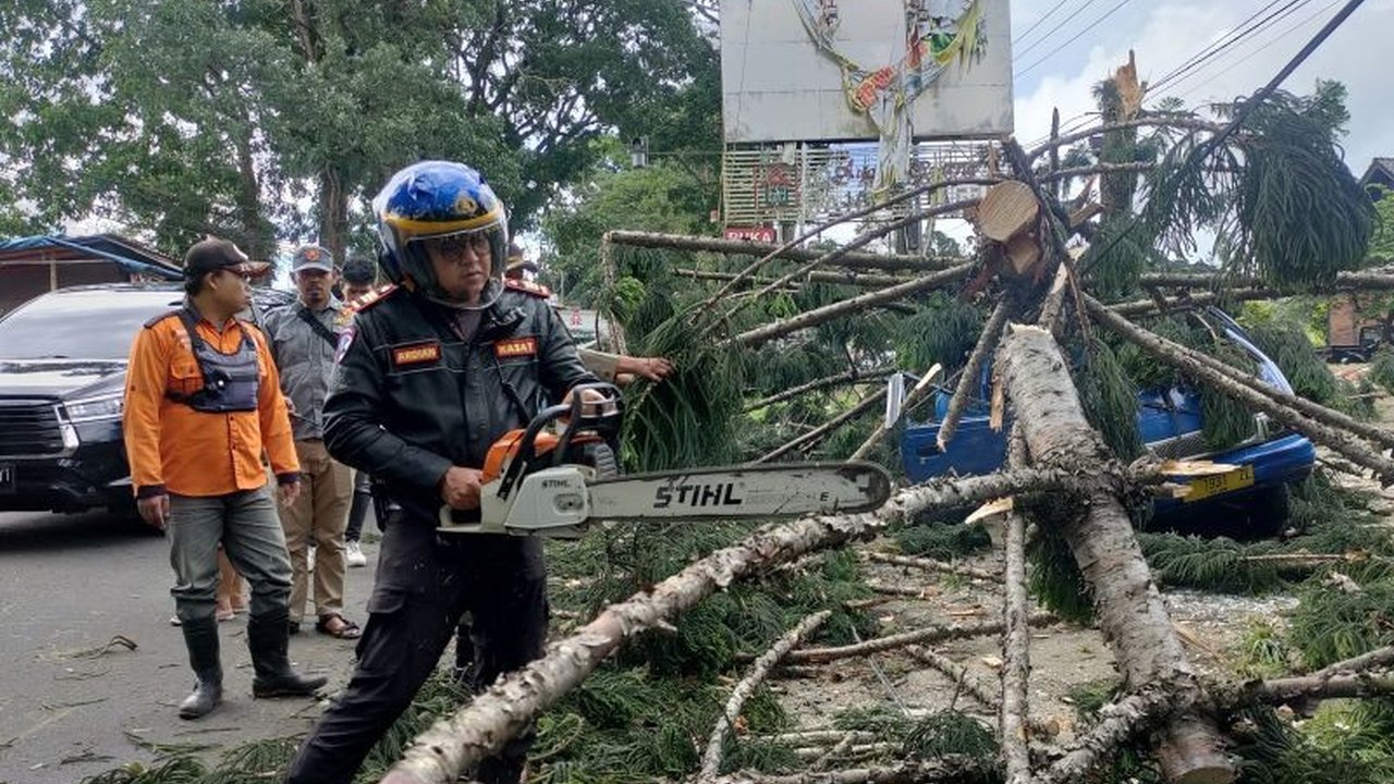 Polres Cianjur berkoordinasi dengan pemerintah pusat dan daerah untuk memangkas pohon tua rawan tumbang di Cianjur guna mencegah kecelakaan dan gangguan lalu lintas akibat cuaca ekstrem.