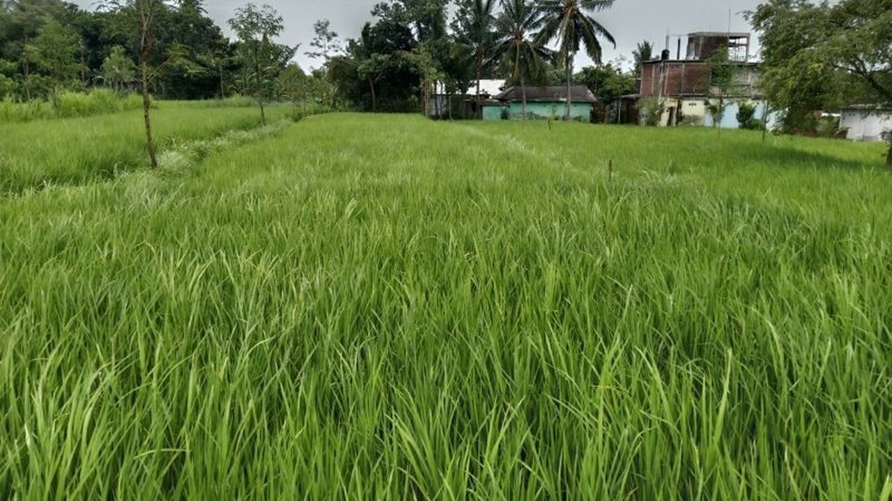 Dinas Pertanian Lombok Timur Raih Penghargaan Atas Kepatuhan Pajak ASN