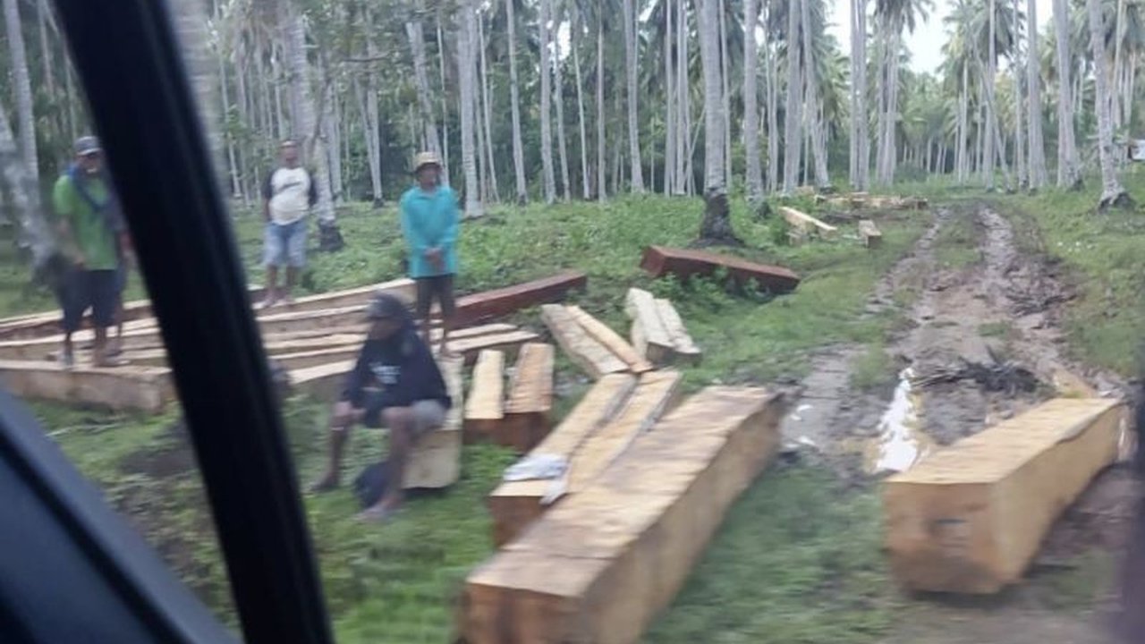 Pemerintah Provinsi Sulawesi Tengah mendesak kepolisian untuk menghentikan penjarahan kayu di Kawasan Pangan Nusantara (KPN) Donggala, yang telah merugikan negara sekitar Rp2,8 miliar dan meresahkan petani setempat.