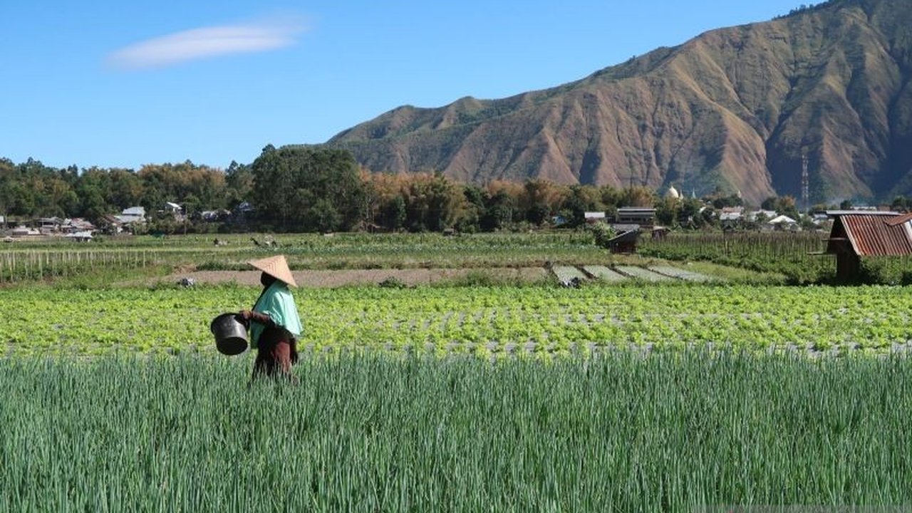 Kepala BPS NTB menyarankan optimalisasi sektor non-tambang, seperti pertanian dan perdagangan, untuk meningkatkan pertumbuhan ekonomi daerah yang sempat terdampak penurunan produksi tambang.