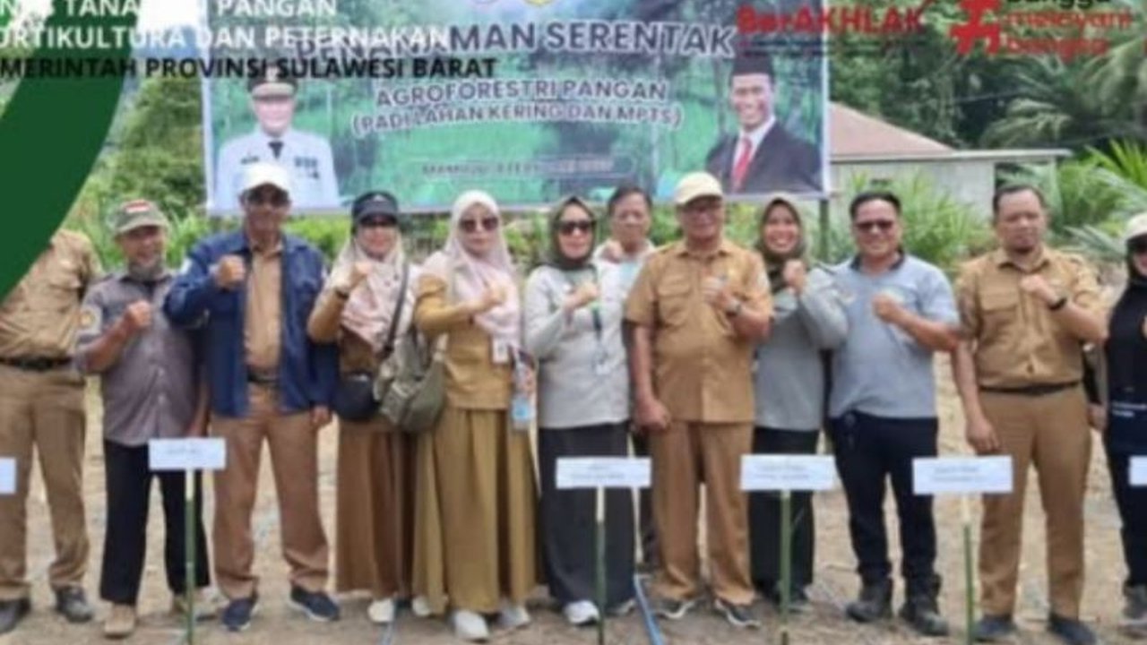 Dinas Tanaman Pangan Holtikultura dan Peternakan Sulbar mengembangkan wanatani atau agroforestri di Mamuju untuk mendukung swasembada pangan nasional dengan menanam padi Situ Bagendit di lahan kering.