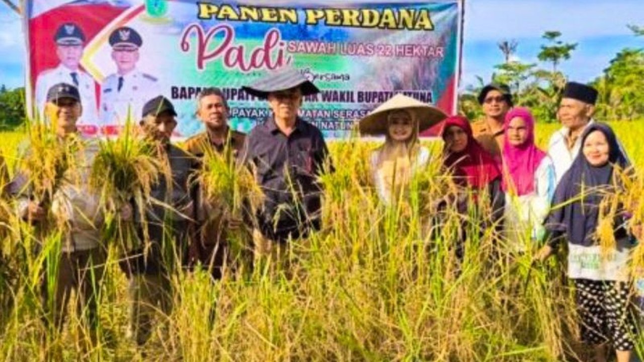 Pemkab Natuna targetkan penanaman padi di lahan seluas 114 hektare di lima kecamatan, dengan penanaman perdana oleh Gubernur Kepri pada 12 Februari 2024, sebagai upaya mendukung ketahanan pangan nasional.