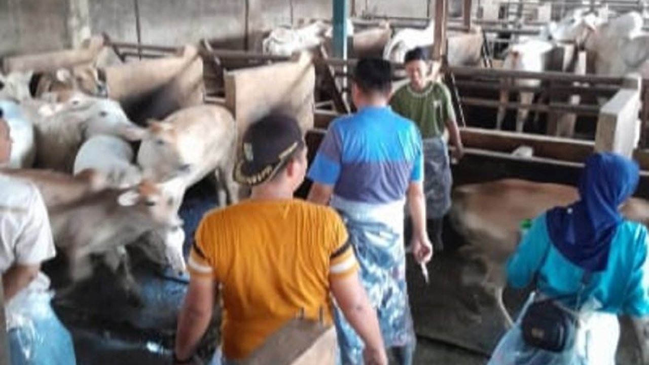 Pemkab Sergai melalui Dinas Ketahanan Pangan gencar mencegah PMK dengan vaksinasi massal, biosekuriti ketat, dan pengawasan mobilitas hewan ternak untuk melindungi peternak dan perekonomian daerah.