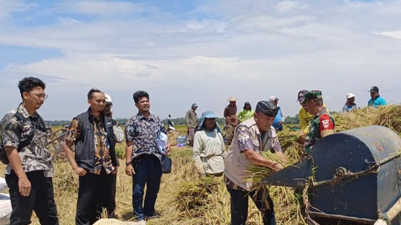 Bulog Banyumas telah memulai penyerapan gabah petani di wilayah eks Keresidenan Banyumas dengan harga pembelian pemerintah (HPP) terbaru sebesar Rp6.500 per kilogram,  menargetkan penyerapan 88.000 ton setara beras pada tahun 2025.