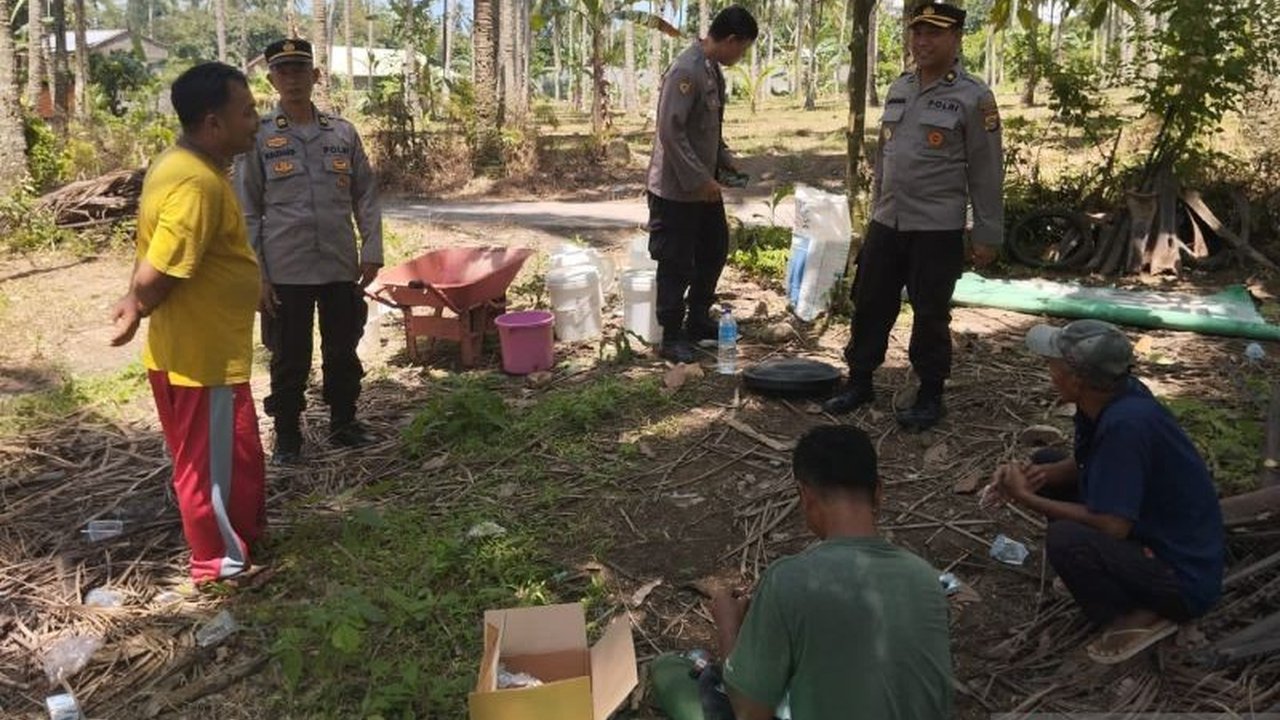 Polresta Mataram, NTB, memupuk tanaman jagung seluas 3,5 hektare di Desa Selat, Lombok Barat, sebagai bagian dari program ketahanan pangan nasional dan binaan terhadap kelompok tani setempat.